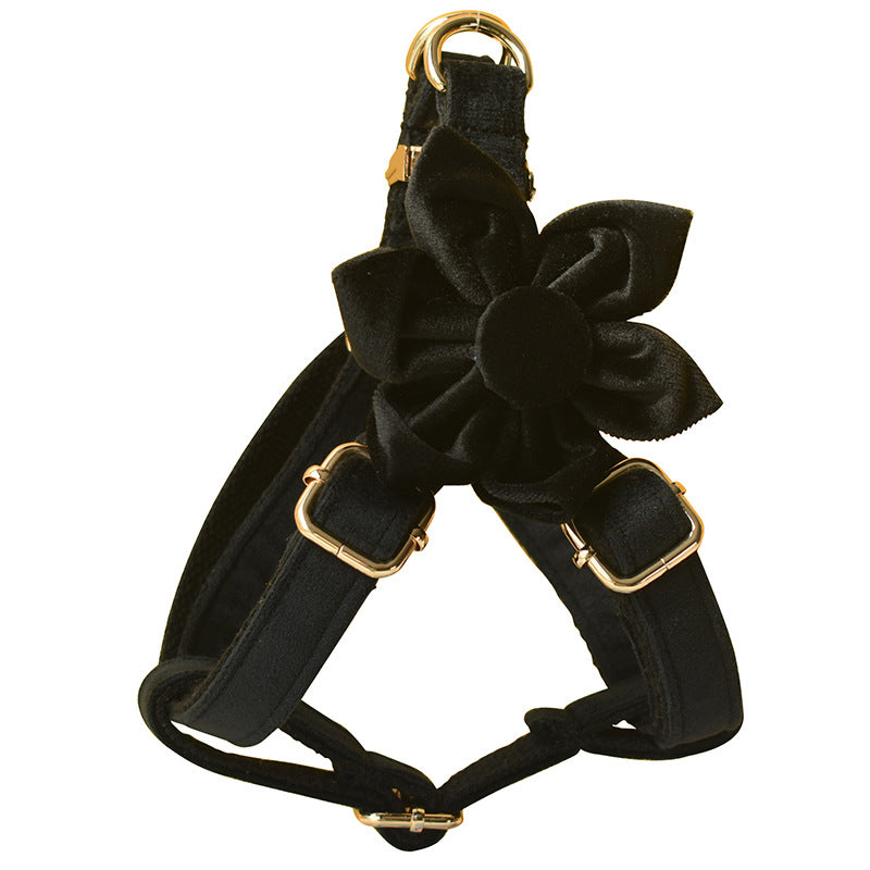 Hundegeschirr aus schwarzem Flanell mit goldener Schnalle – Bild 6 | LuxeStyle
