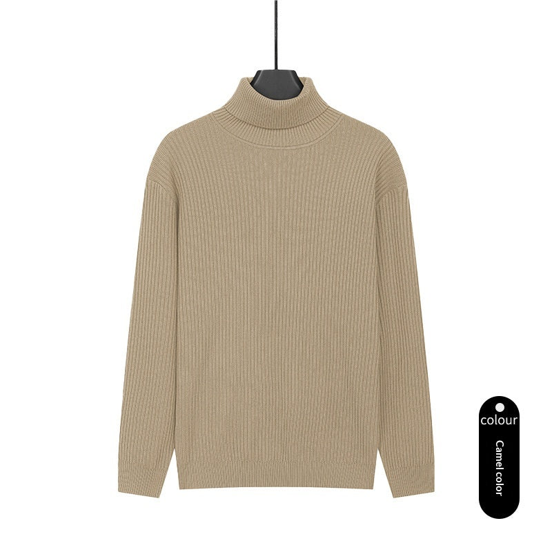 Herren Rollkragenpullover aus Strick