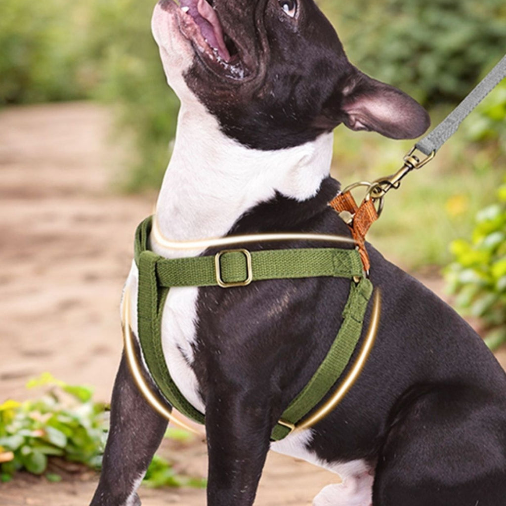 Hunde Brustgeschirr
