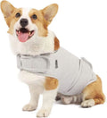 Beruhigende Hunde-Bekleidung für Trennungsangst – Bild 1 | LuxeStyle