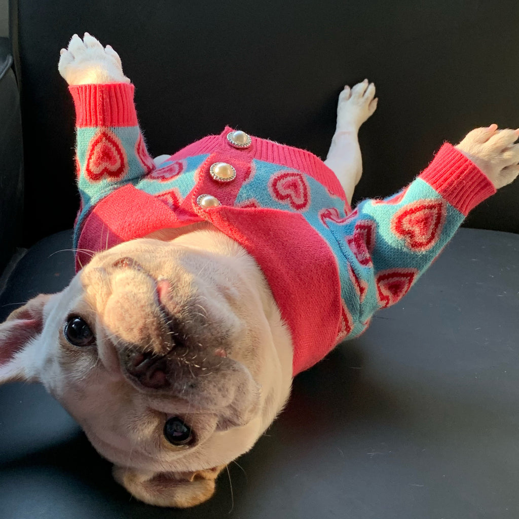 Pullover für Hund und Katze aus Wolle – Bild 5 | LuxeStyle