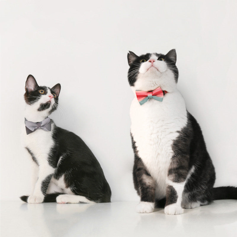Katzen-Schleifen-Halsband – Bild 1 | LuxeStyle