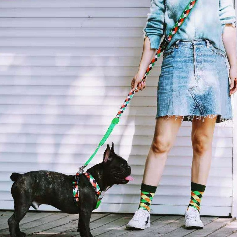 Multifunktions-Hundeleine mit Puffer | LuxeStyle