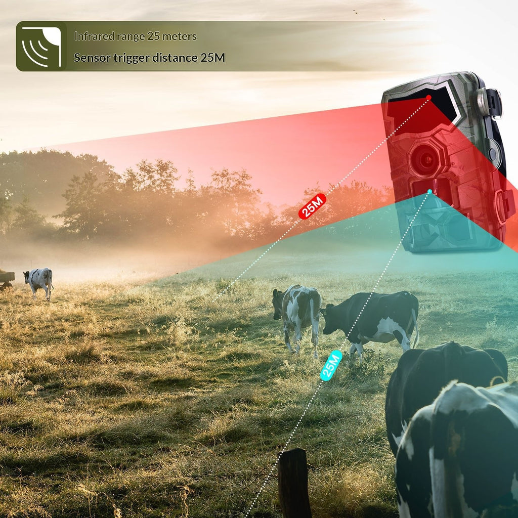 WLAN-Wildkamera für Aussen