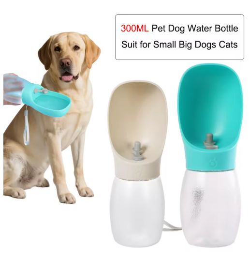 Wassernapf für Hunde