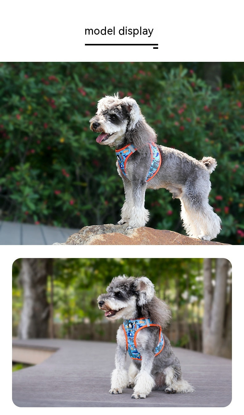 Hunde-Brustgeschirr mit Leine, atmungsaktiv – Bild 11 | LuxeStyle