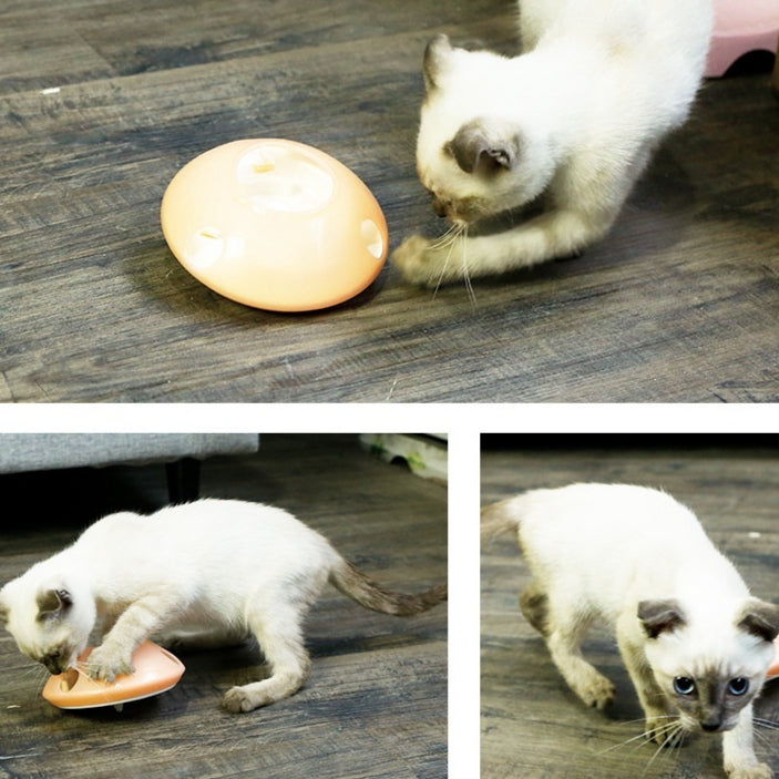 Futterspender-Kreisel für Katze