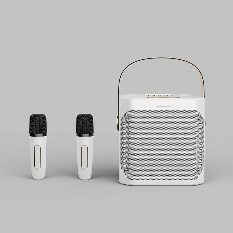 Duales Stereo Karaoke-System