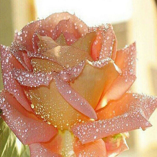 Diamond Painting Mosaik Rose Stickset – Bild 5 | LuxeStyle