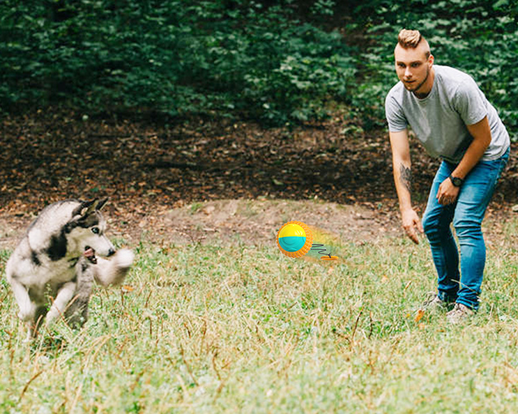 Wurfball mit Seil für Hunde & Katzen – Bild 2 | LuxeStyle