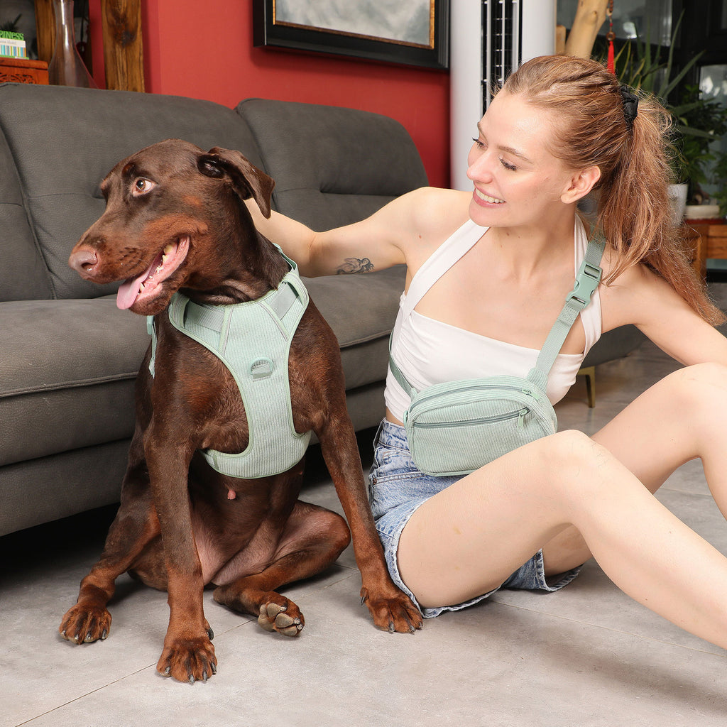 Hundegeschirr-Set mit Leine und Tasche – Bild 9 | LuxeStyle