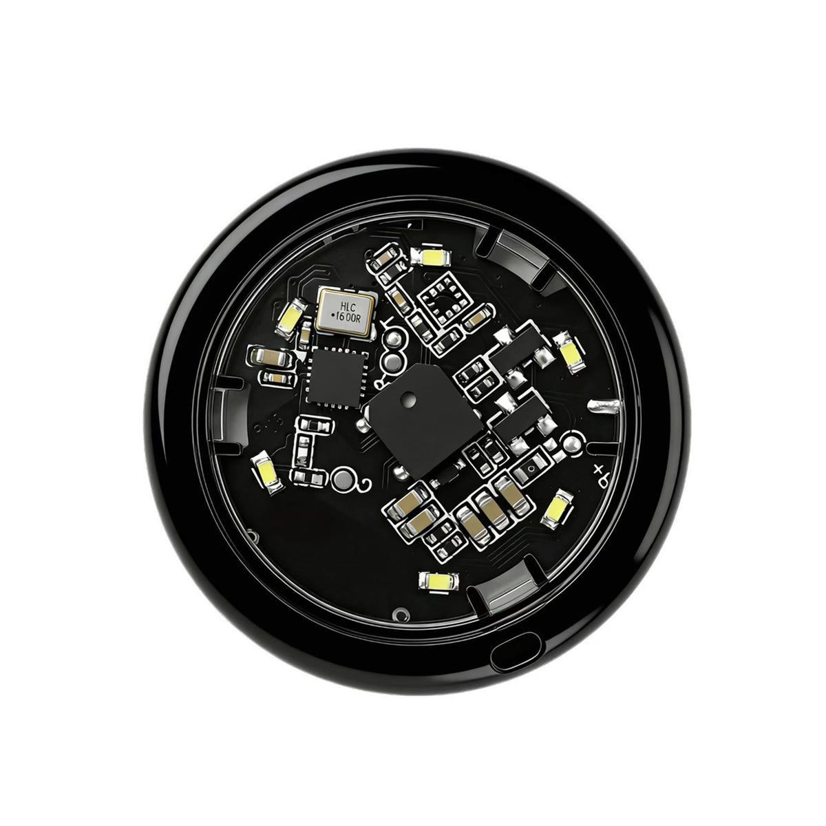 GPS-Ortungsgerät für Haustiere – Bild 10 | LuxeStyle