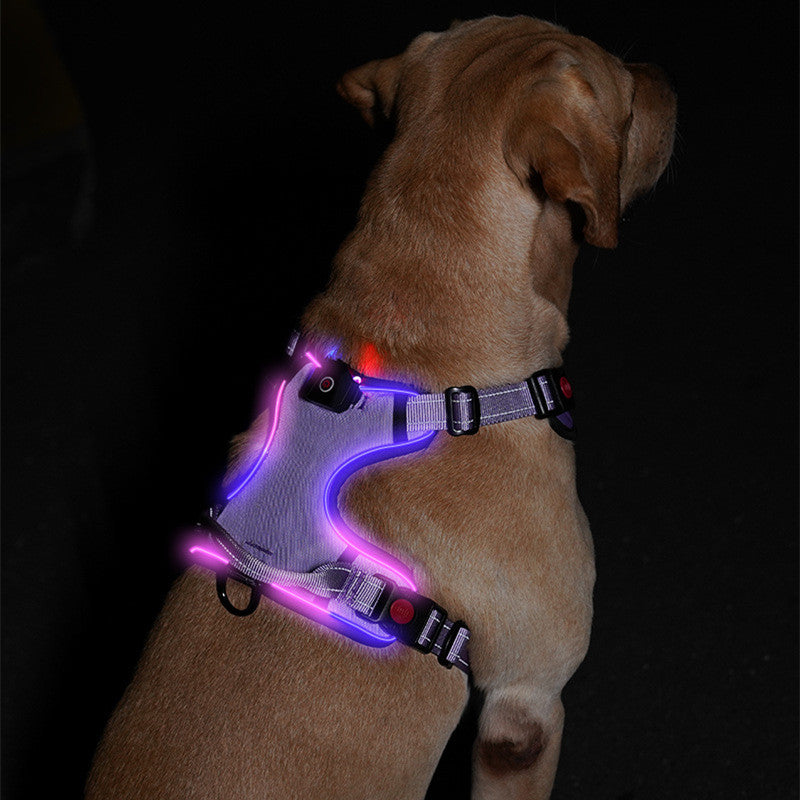 USB Wiederaufladbares Leuchtgeschirr für Hunde | LuxeStyle