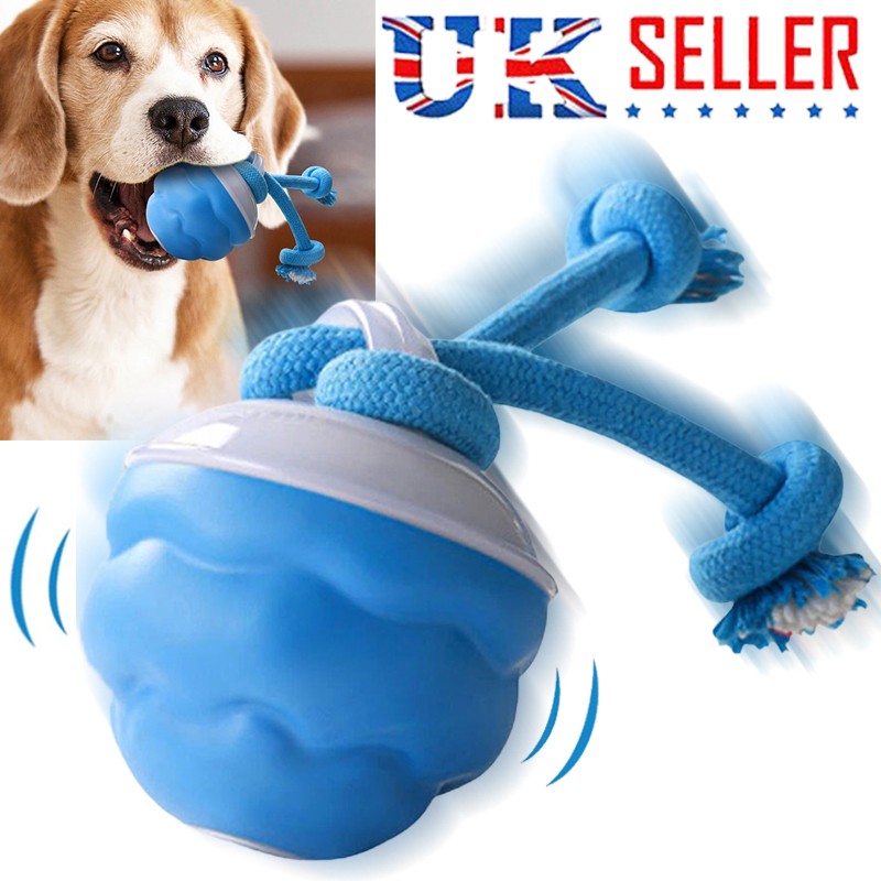 Chase Buddy Spielball mit Seilen