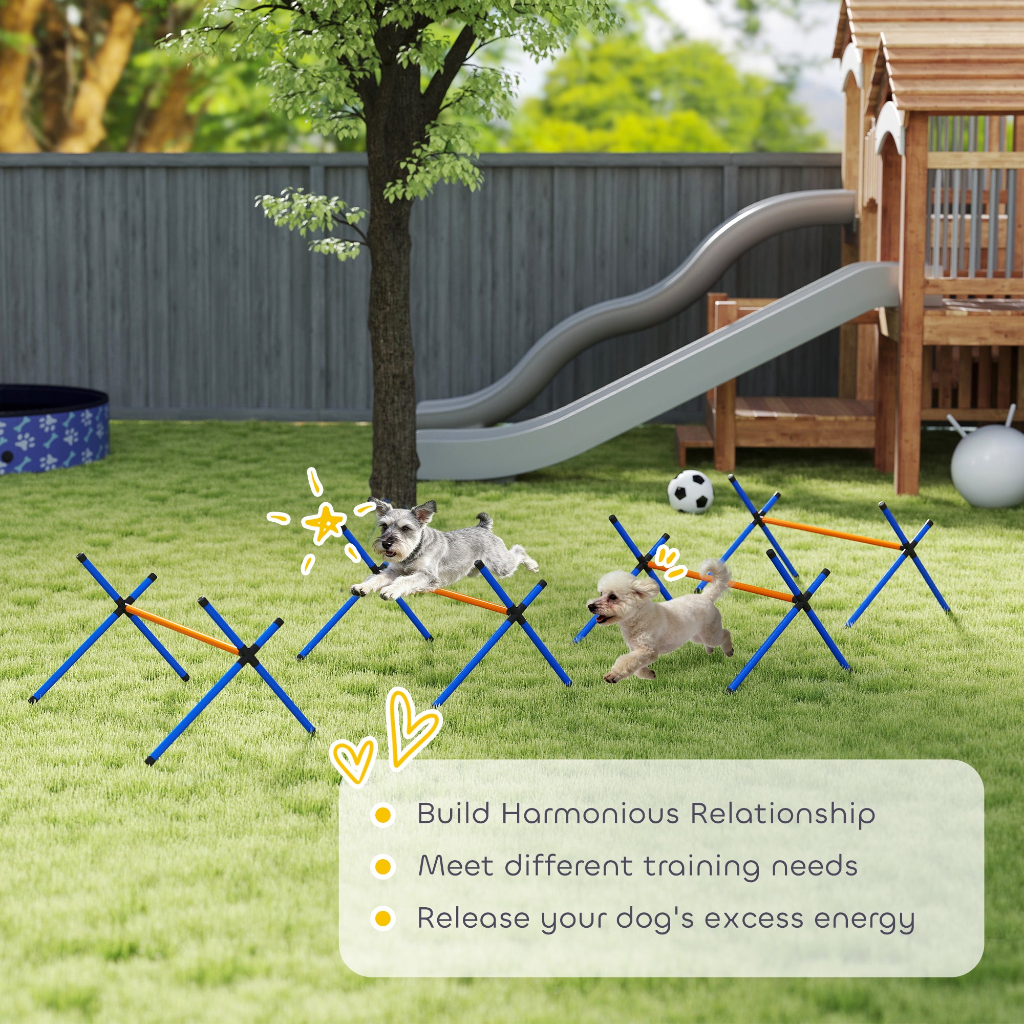 Hunde Agility-Set mit verstellbaren Hürden