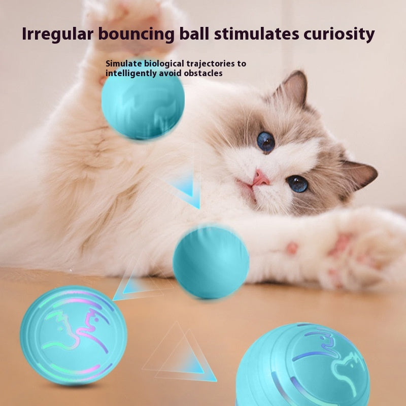Elektrovibration-Ball für Hunde & Katzen, beißfest