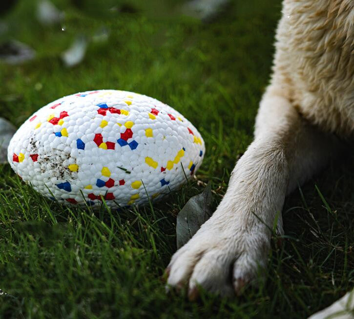 Fussball-Kauspielzeug für Hunde – Bild 1 | LuxeStyle