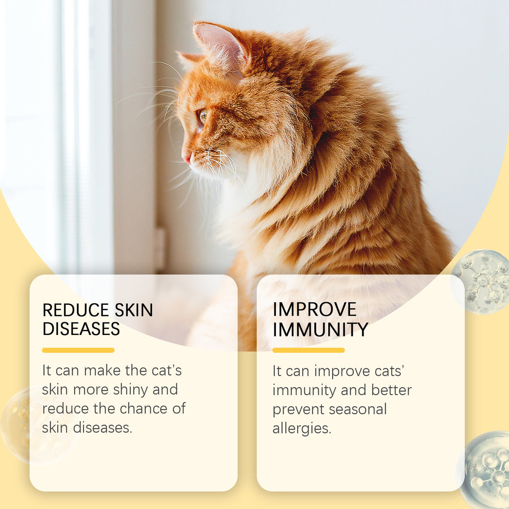 Fischöl-Tabletten für Katzen