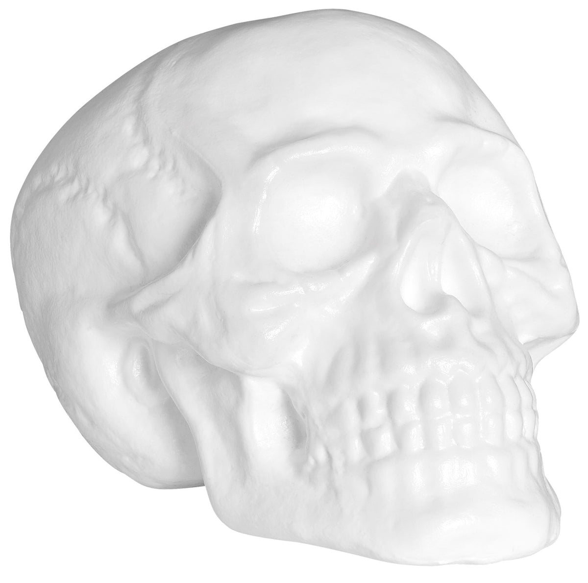 Totenkopf 30x20cm – Bild 1 | LuxeStyle