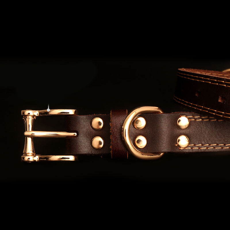 Halsband aus Echtleder mit Gravur | LuxeStyle