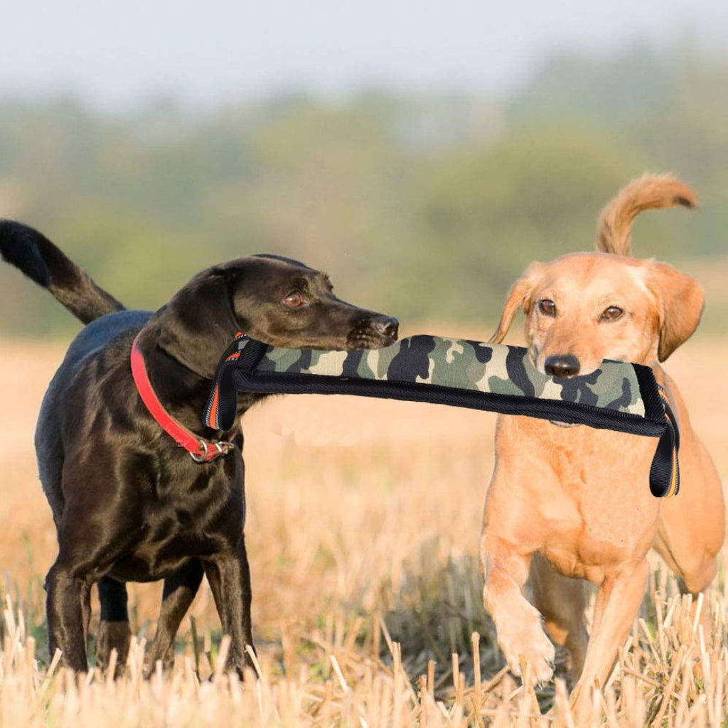 Hanf-Biss-Stick für Hunde