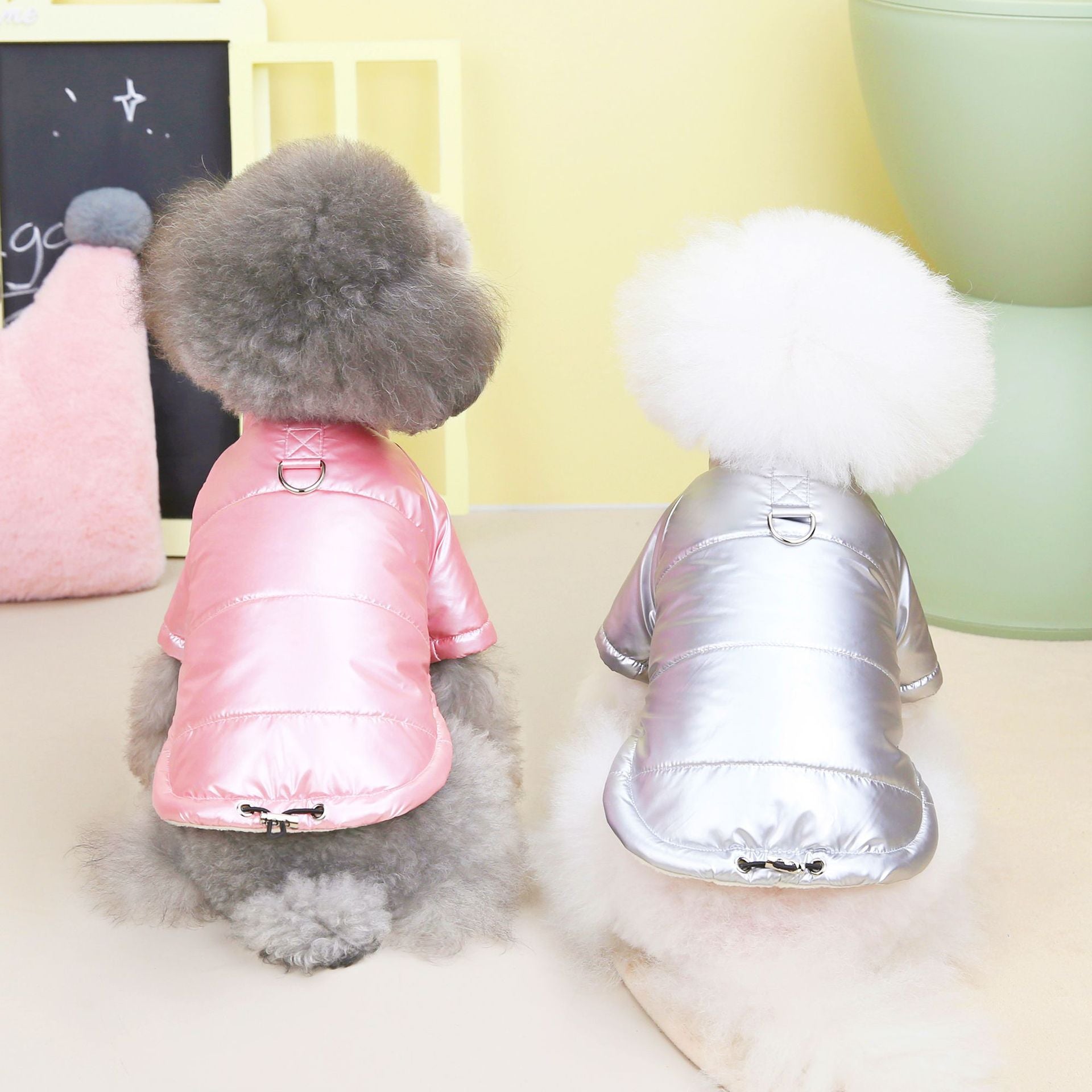 Teddy Hundejacke wasserdicht
