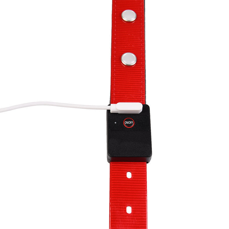 Wasserfestes Halsband – Bild 6 | LuxeStyle