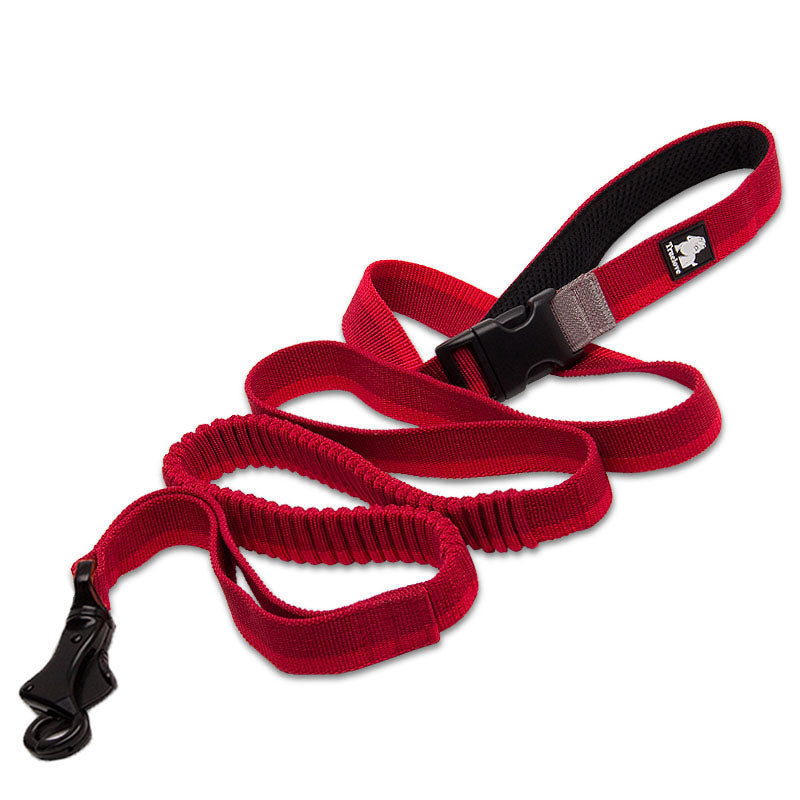 Elastische Hunde-Joggingleine – Bild 3 | LuxeStyle