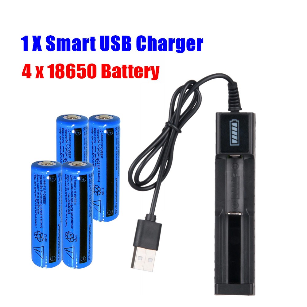 Li-ion Akku & USB-Ladegerät Set 3000mAh