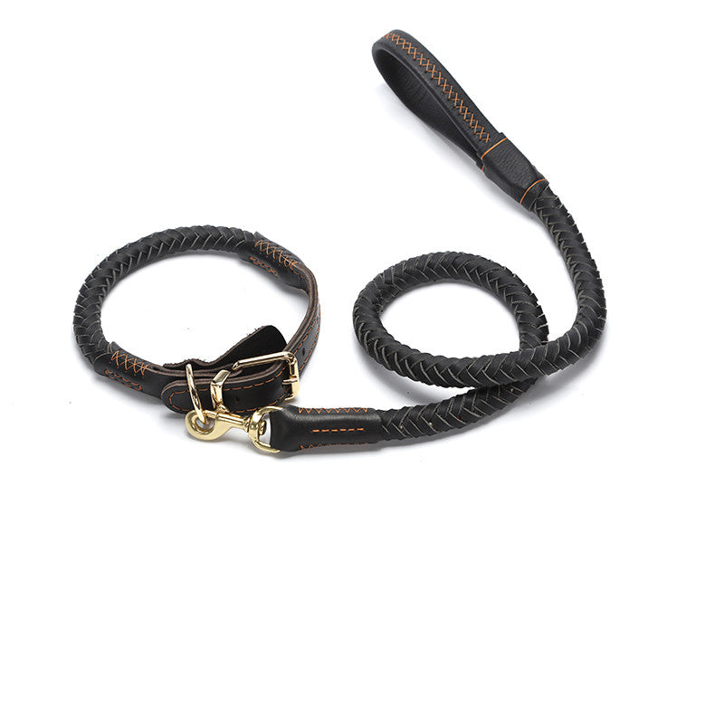 Leder Hundeleine mit Kette – Bild 8 | LuxeStyle