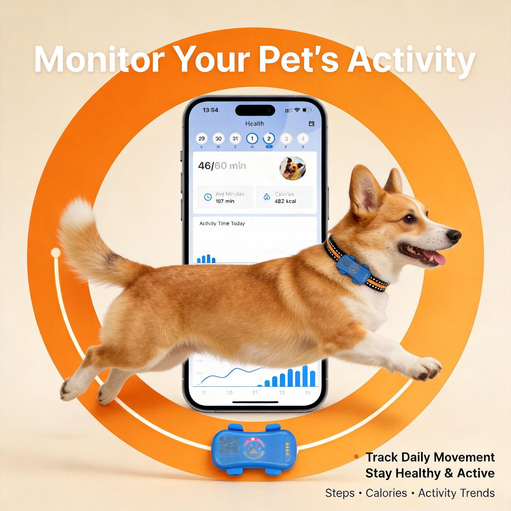 GPS-Tracker für Hunde mit Echtzeitortung