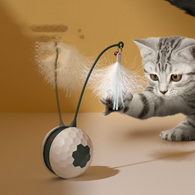 Intelligentes, beissfestes Katzenspielzeug