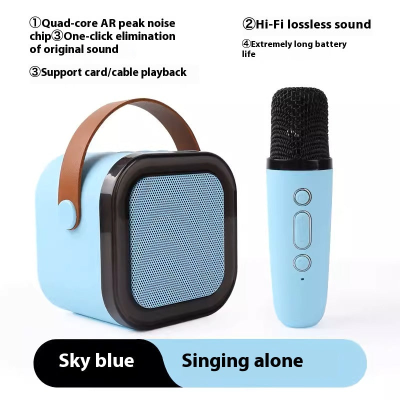 Kabelloses Bluetooth KTV Mikrofon-Set