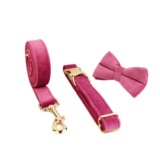 Samtiges Haustierhalsband mit Leine – Bild 10 | LuxeStyle