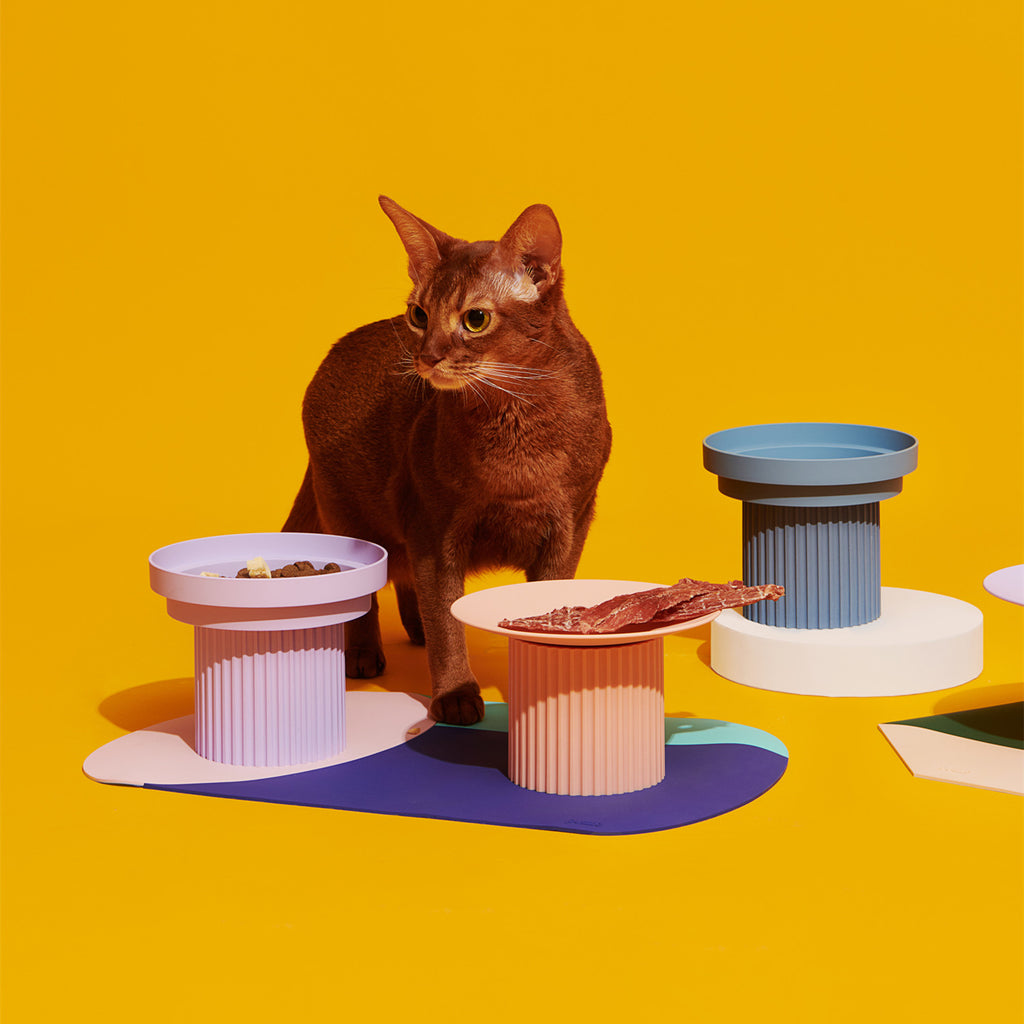 Katzen-Futternapf mit hohem Rand, kippsicher – Bild 5 | LuxeStyle