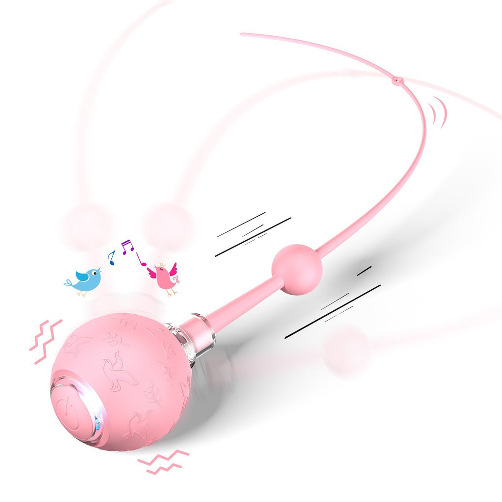 Interaktiver Spielball für Katzen