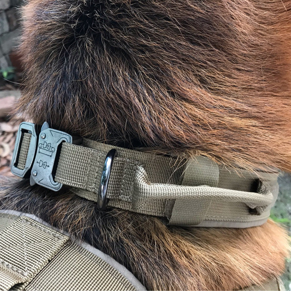 Halsband für Hunde, robustes Nylon – Bild 2 | LuxeStyle
