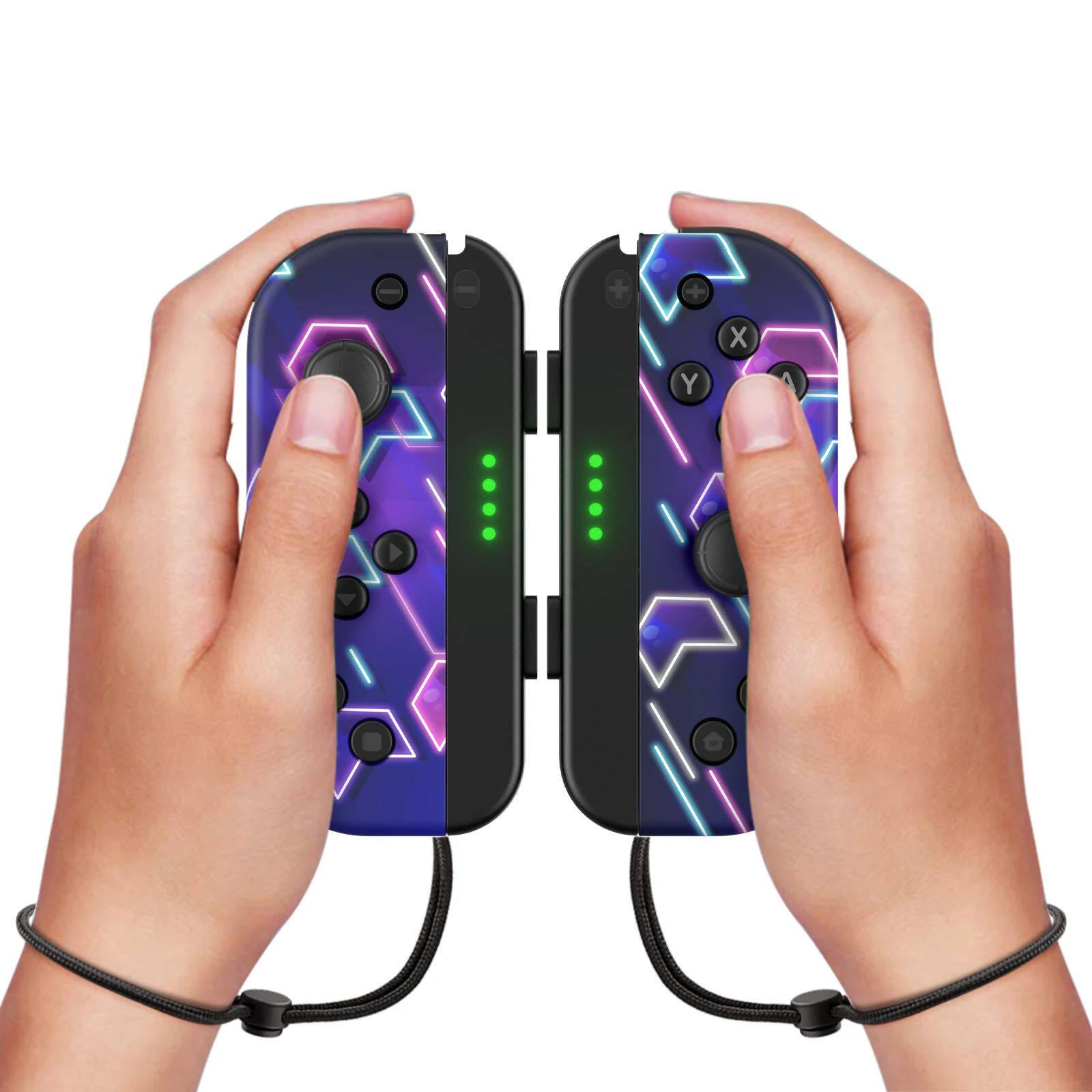 NS Dual Gamepad mit Handschlaufe