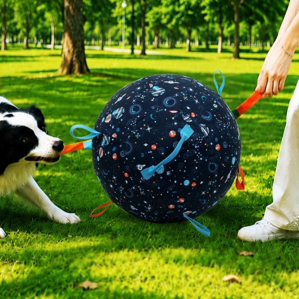 Aufblasbarer Hunde-Herding-Ball