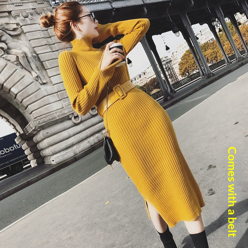 Rollkragen Strickkleid mit Schlitz