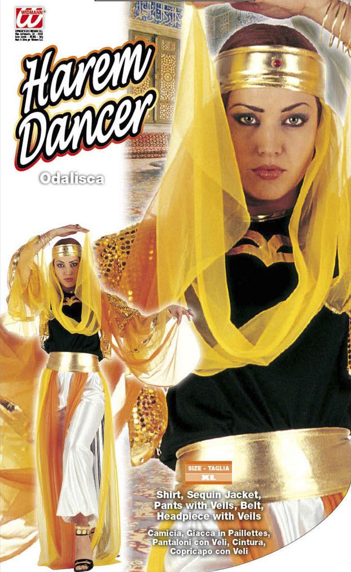 Orientalisches Haremsdamenkostüm · Gr. XL
