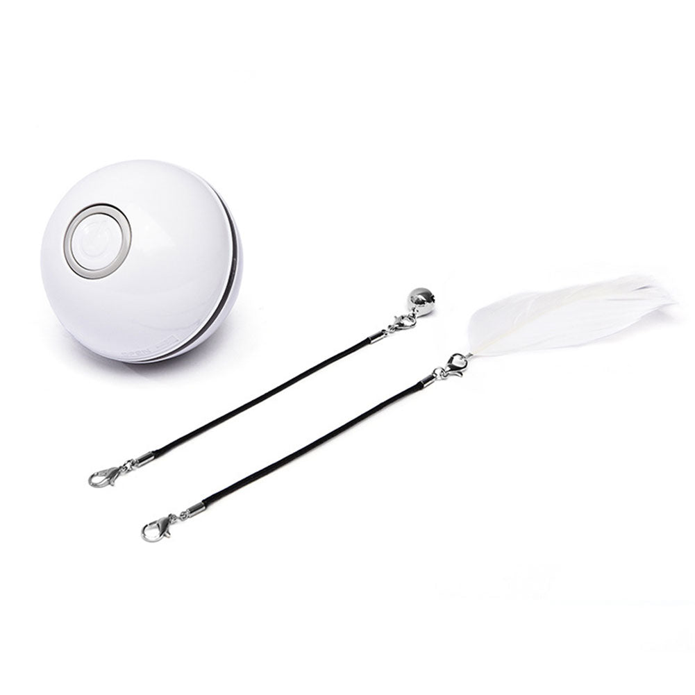 Farbiges Katzenspiel mit LED-Licht – Bild 6 | LuxeStyle