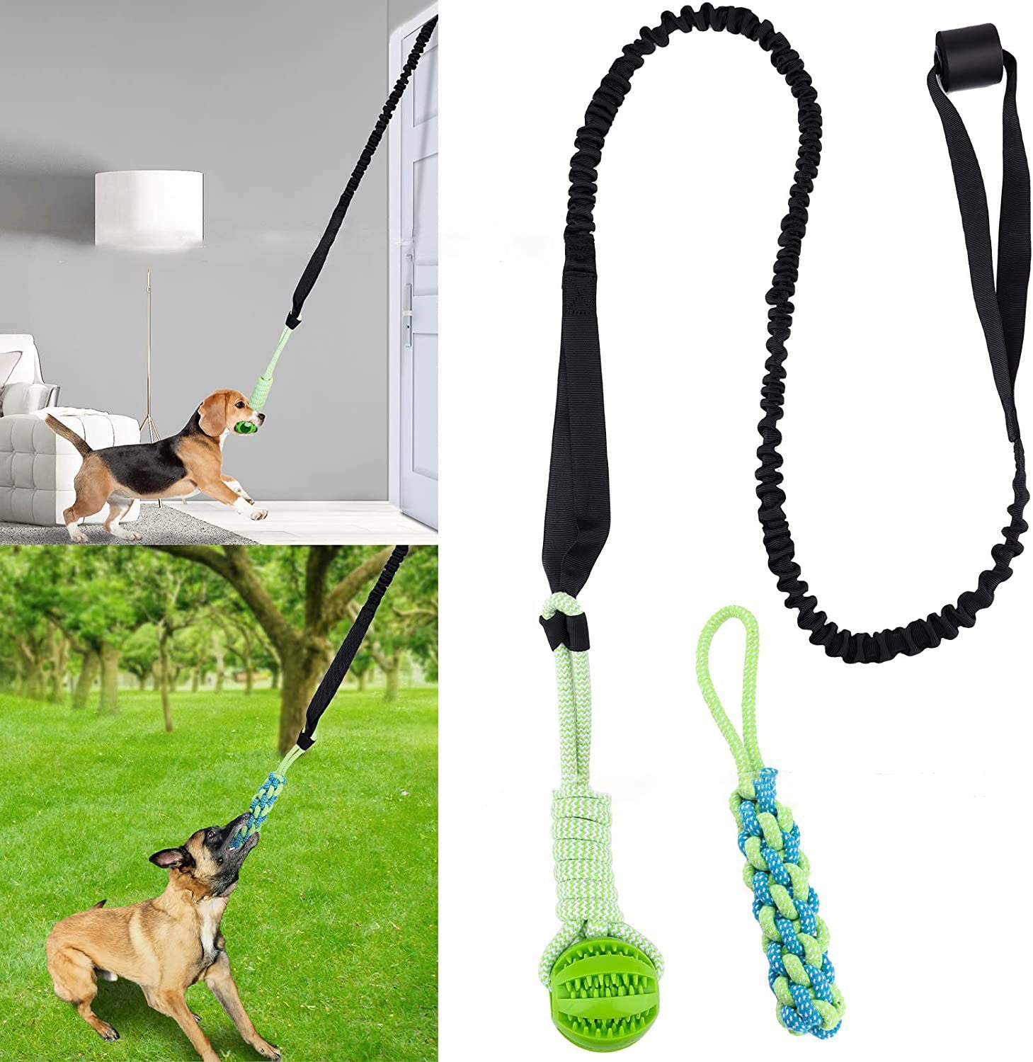 Tau-Spielzeug für Hunde – Zähne reinigen & stärken