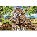 Leopard und ihr Junges