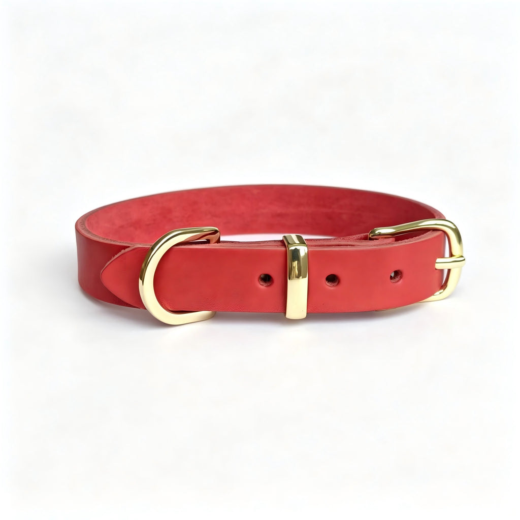 Minimalistisches Haustierhalsband aus Zinklegierung