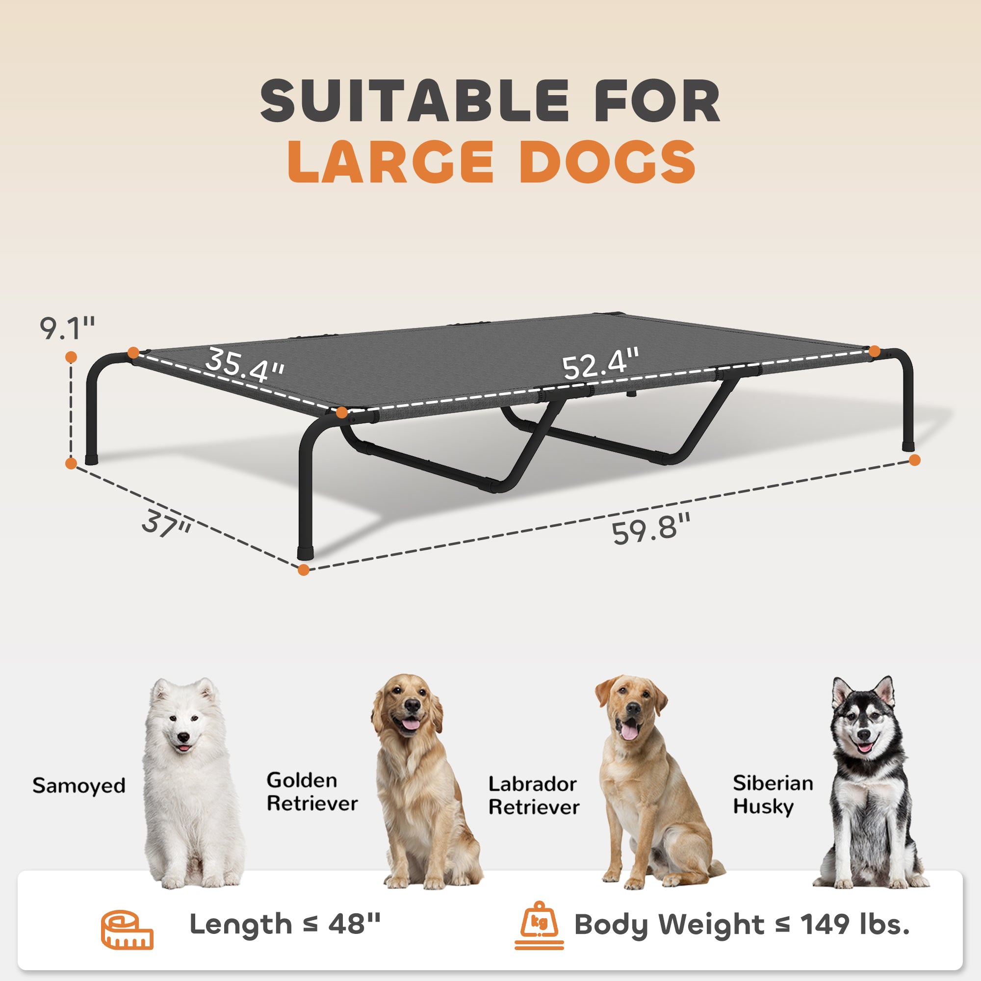 Erhöhtes Hundebett für grosse Hunde, Grau