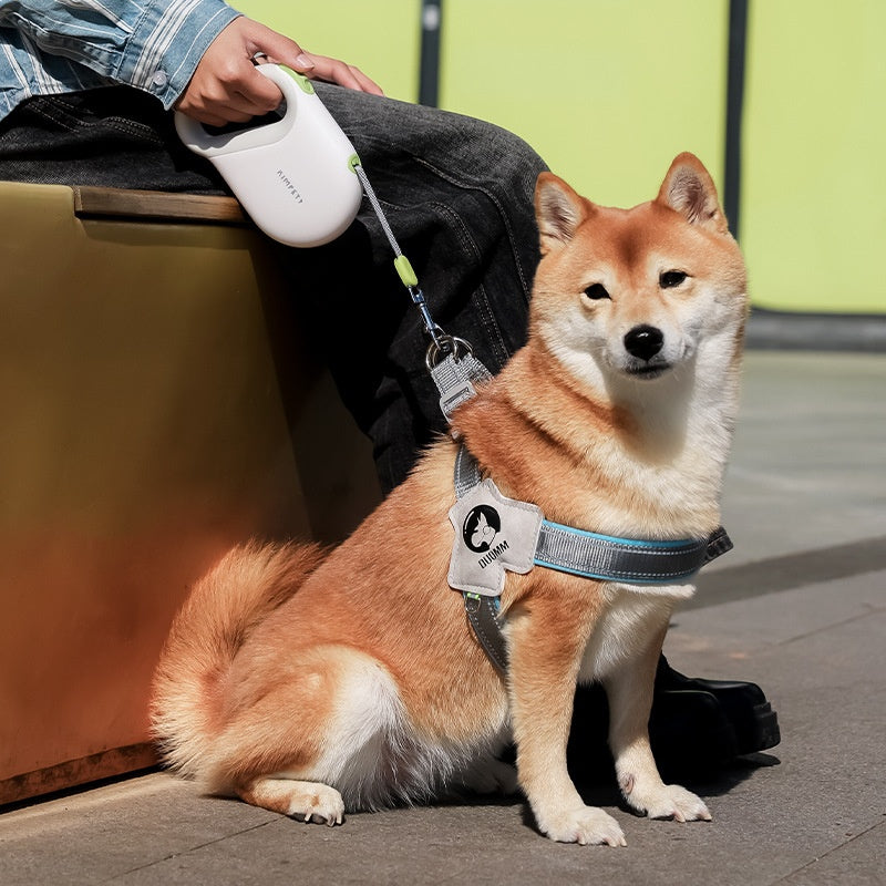 Sicherheitsleine für Hunde – Bild 1 | LuxeStyle
