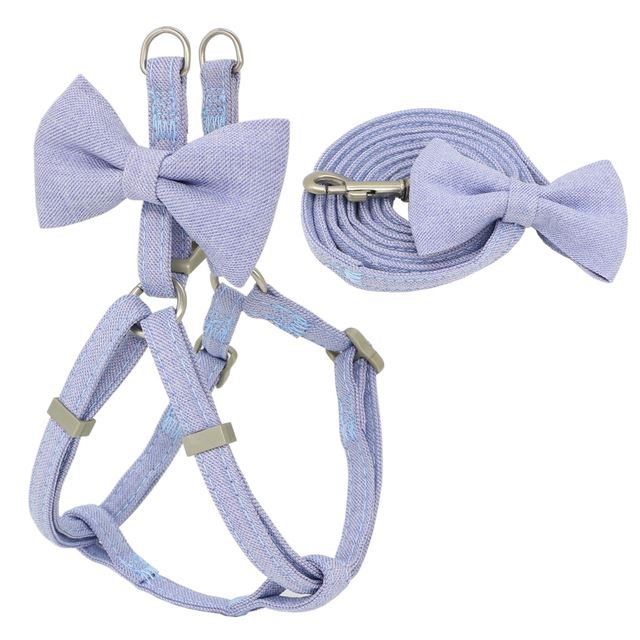 Hundehalsband-Set – Bild 6 | LuxeStyle