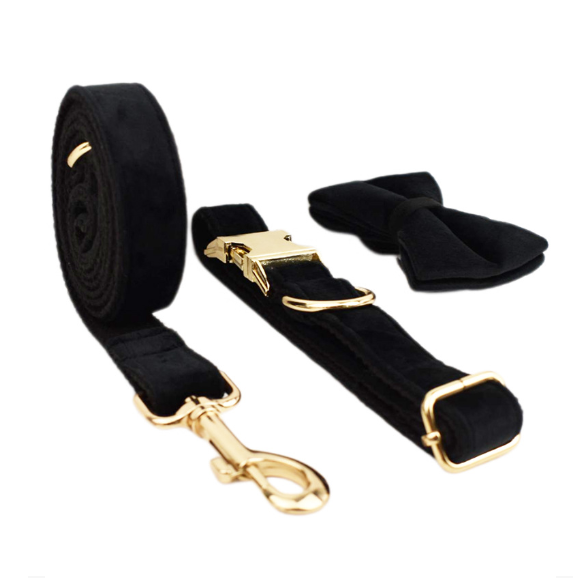 Samtiges Haustierhalsband mit Leine – Bild 3 | LuxeStyle