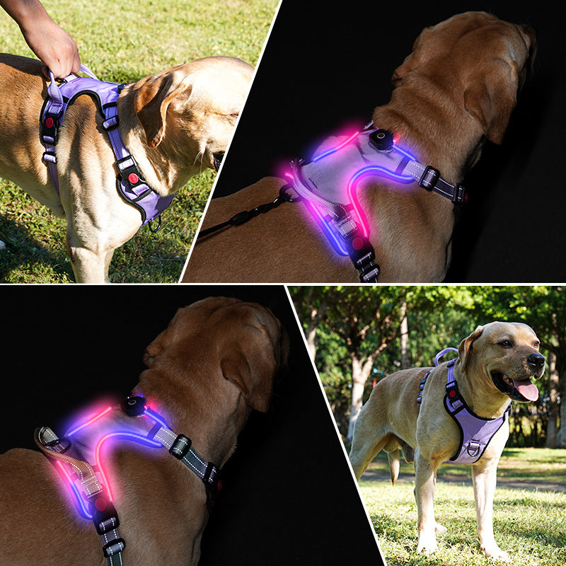 USB Wiederaufladbares Leuchtgeschirr für Hunde – Bild 11 | LuxeStyle